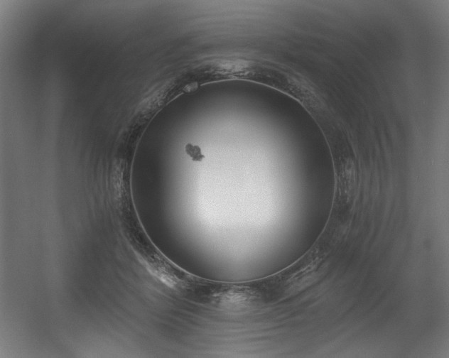 X0000056360412200508291349