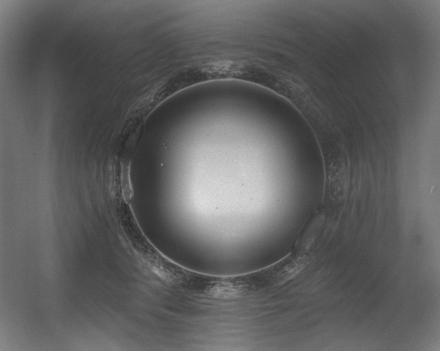 X0000056360416200508291349