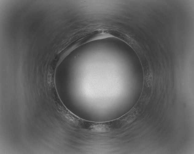 X0000056360417200508291349