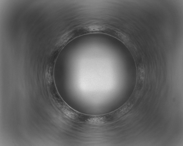 X0000056360422200508291349