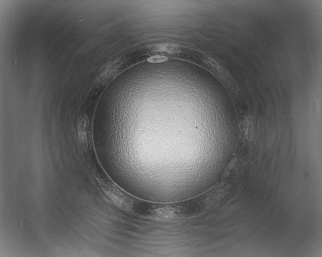 X0000056360423200508291349