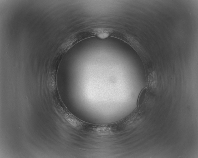 X0000056360426200508291349