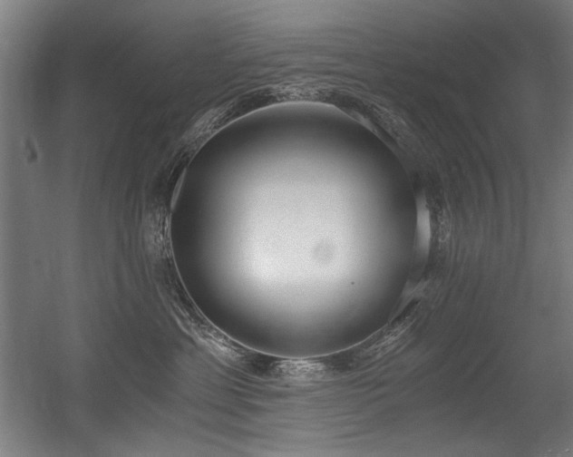 X0000056360429200508291349