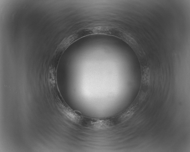 X0000056360430200508291349