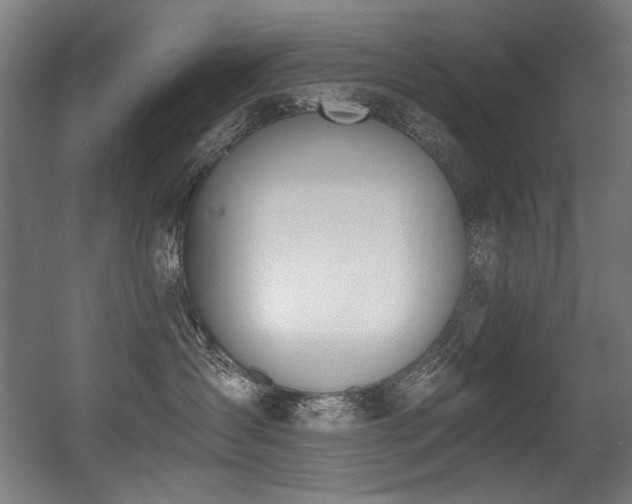 X0000056360431200508291349