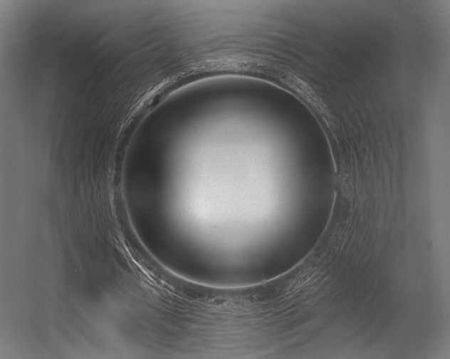 X0000056360434200508291348