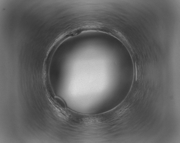 X0000056360435200508291348