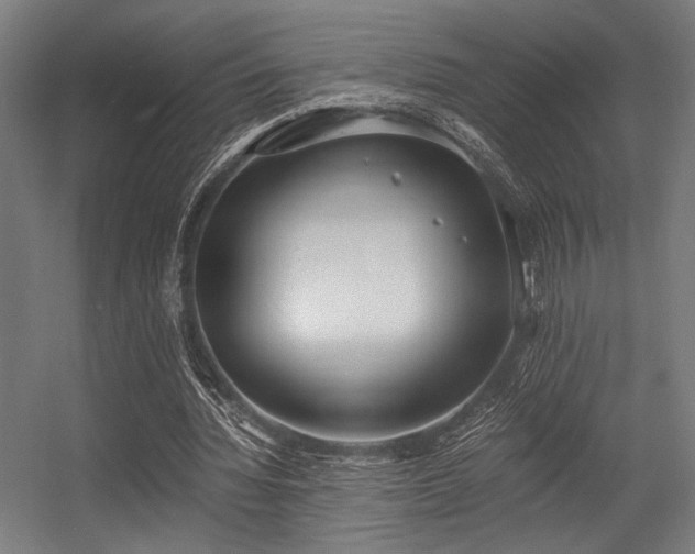 X0000056360436200508291348