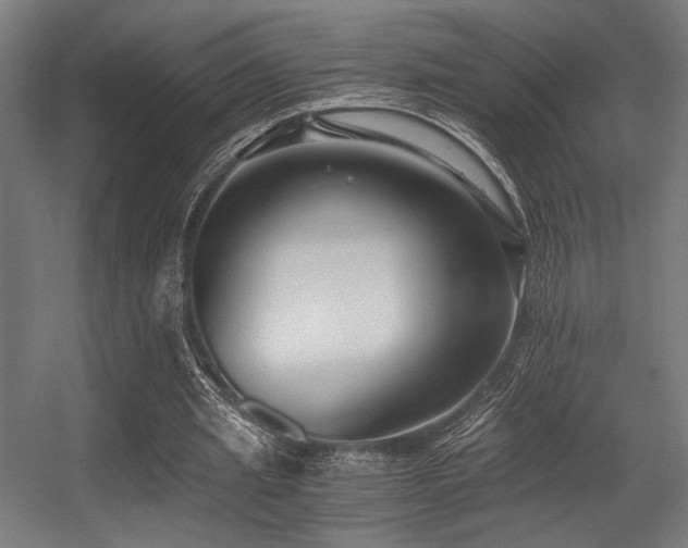 X0000056360437200508291348