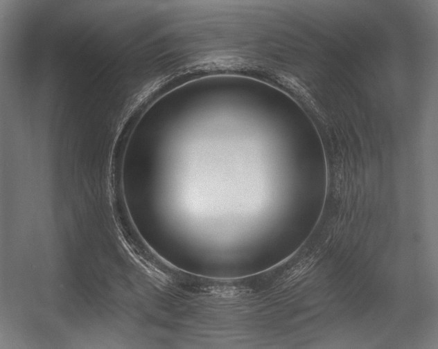 X0000056360439200508291348