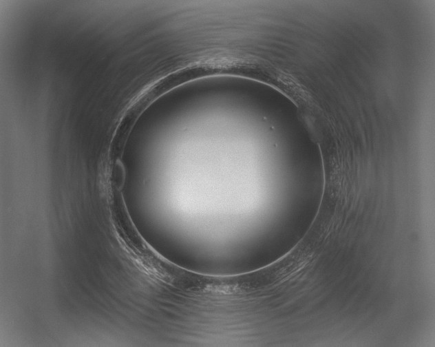 X0000056360440200508291348