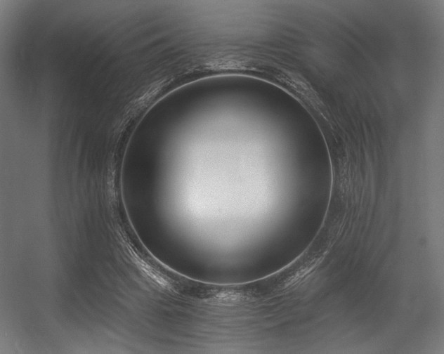 X0000056360441200508291348