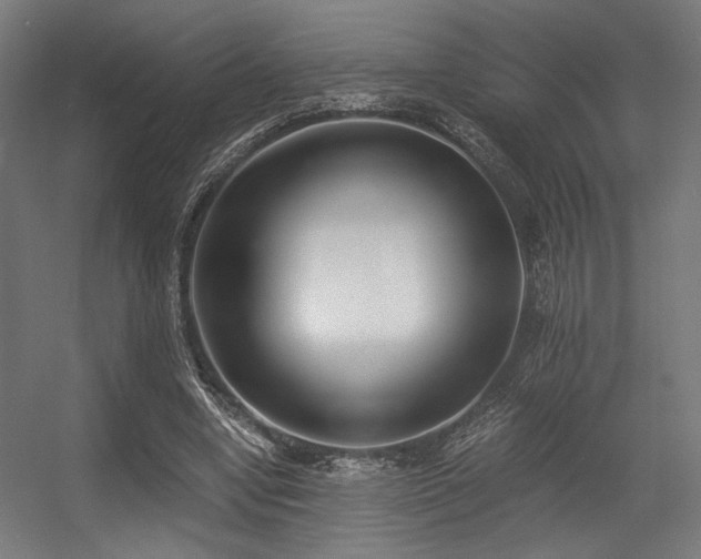 X0000056360442200508291348