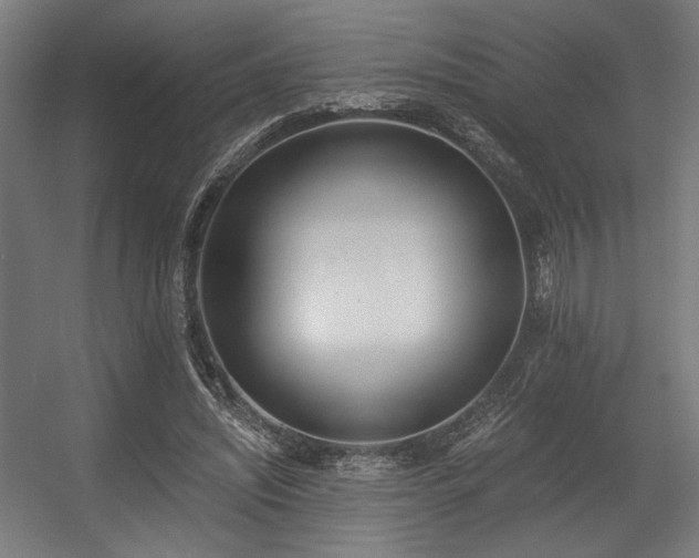 X0000056360444200508291348