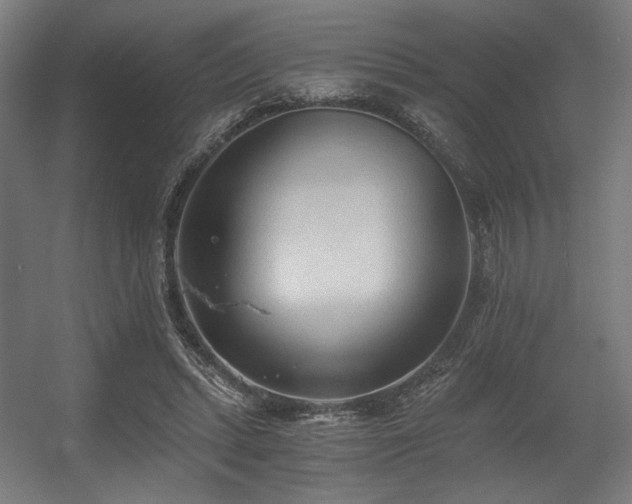 X0000056360447200508291348