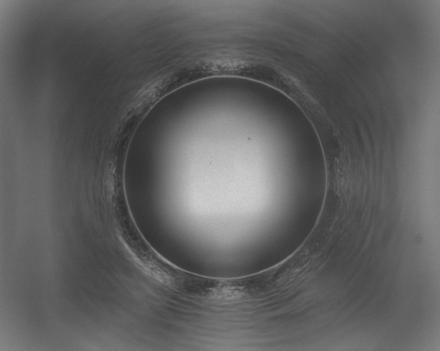 X0000056360451200508291349