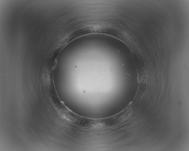 X0000056360456200508291349