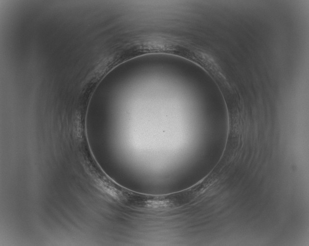 X0000056360457200508291349