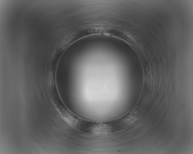 X0000056360459200508291349