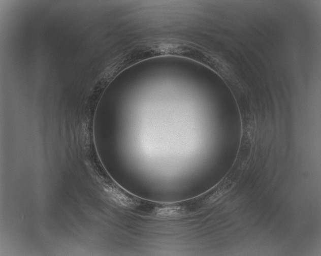 X0000056360461200508291349