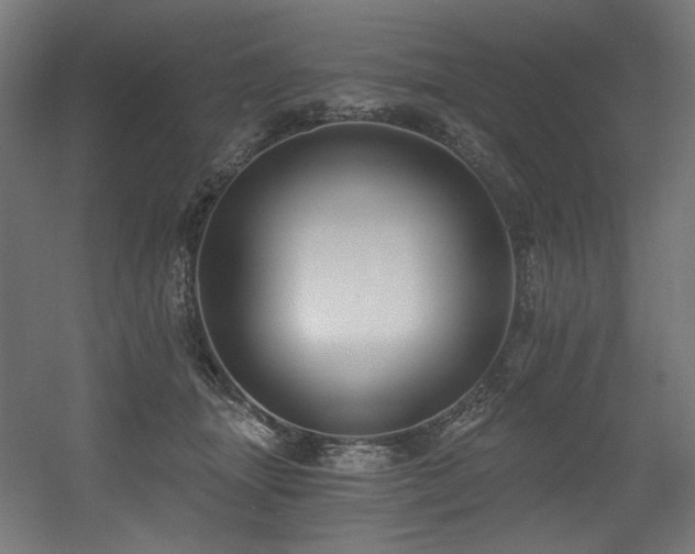 X0000056360463200508291349