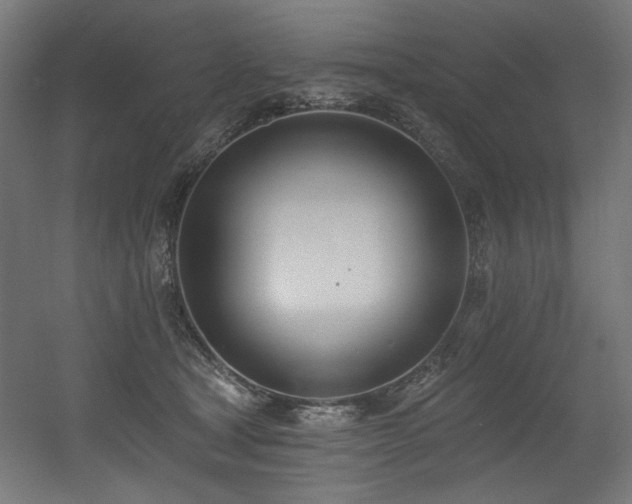 X0000056360465200508291349