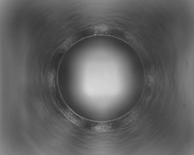 X0000056360468200508291349