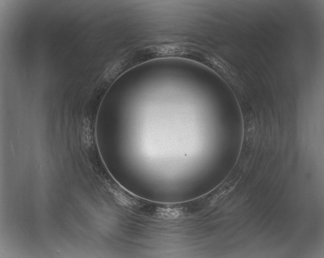 X0000056360469200508291349