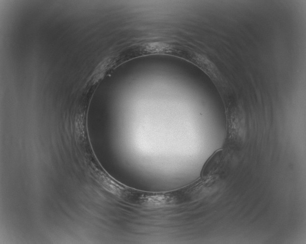 X0000056360473200508291349