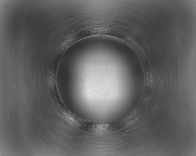 X0000056360474200508291349