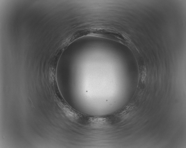 X0000056360476200508291349