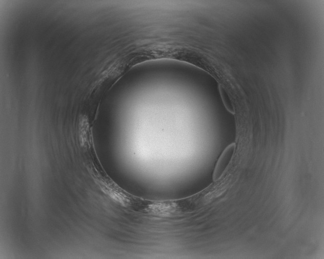 X0000056360480200508291349