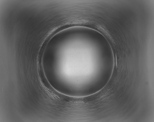 X0000056360483200508291348