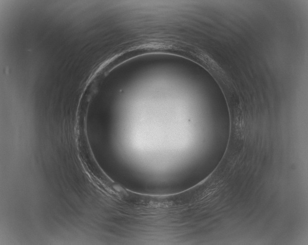 X0000056360484200508291348