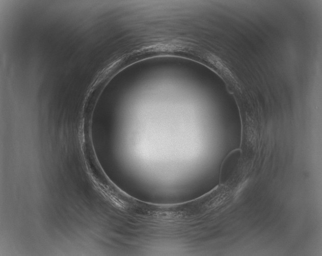 X0000056360486200508291348