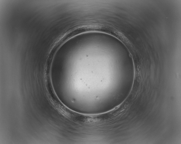 X0000056360487200508291348