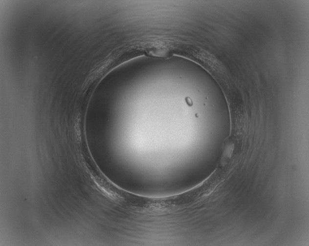 X0000056360489200508291348