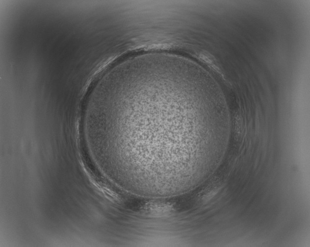 X0000056360491200508291348