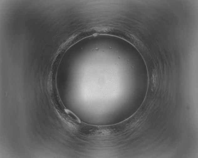 X0000056360492200508291348