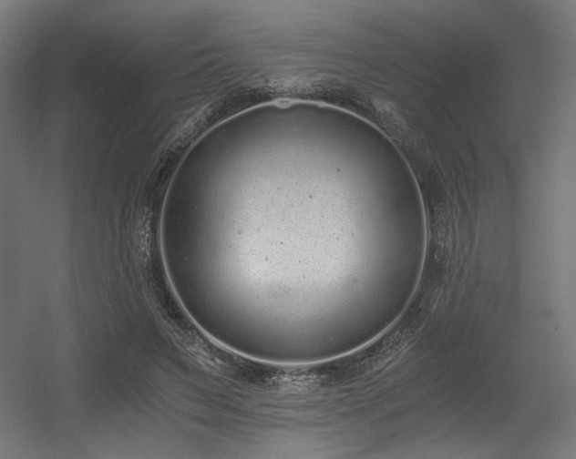 X0000056360495200508291348