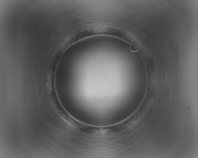 X0000056360497200508291348