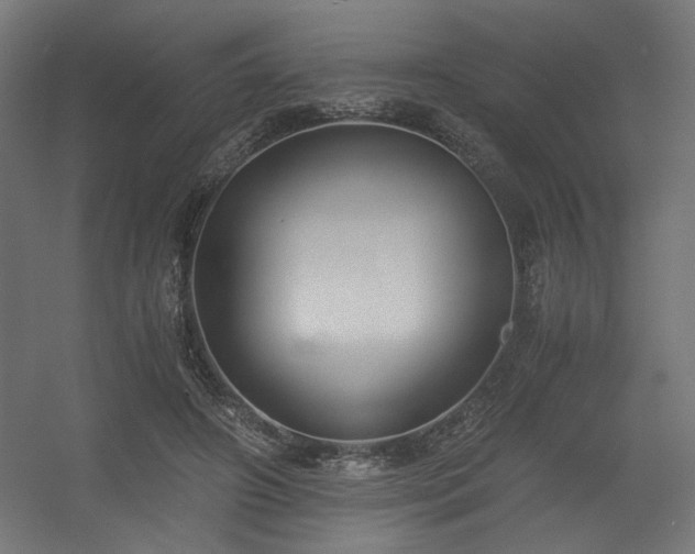 X0000056360498200508291348