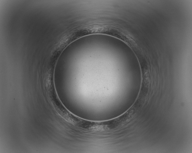 X0000056360499200508291348