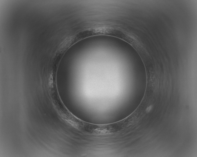 X0000056360502200508291348