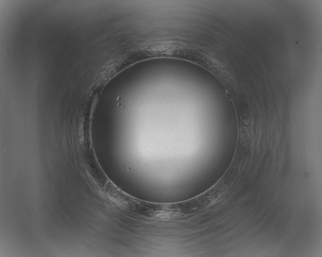 X0000056360504200508291348