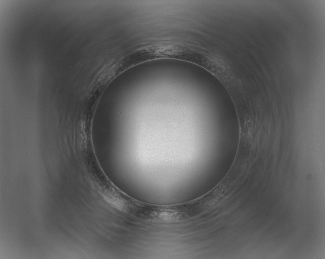 X0000056360506200508291348