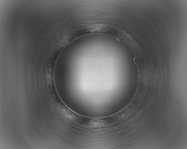 X0000056360510200508291348