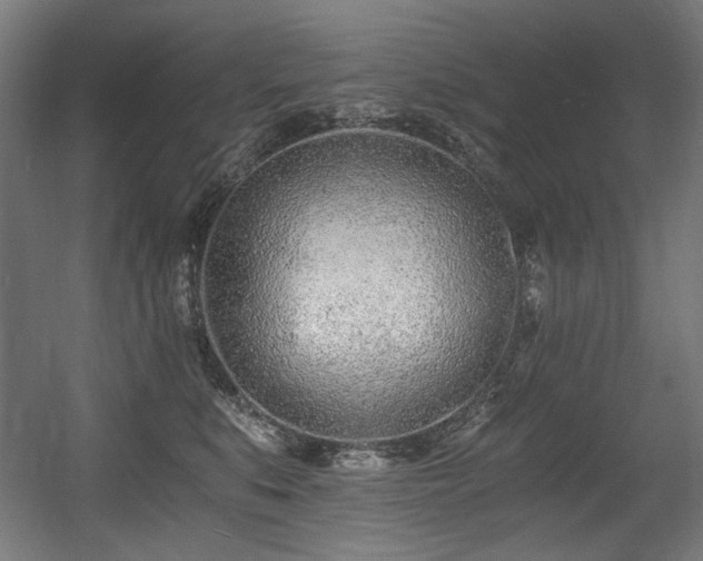 X0000056360519200508291348