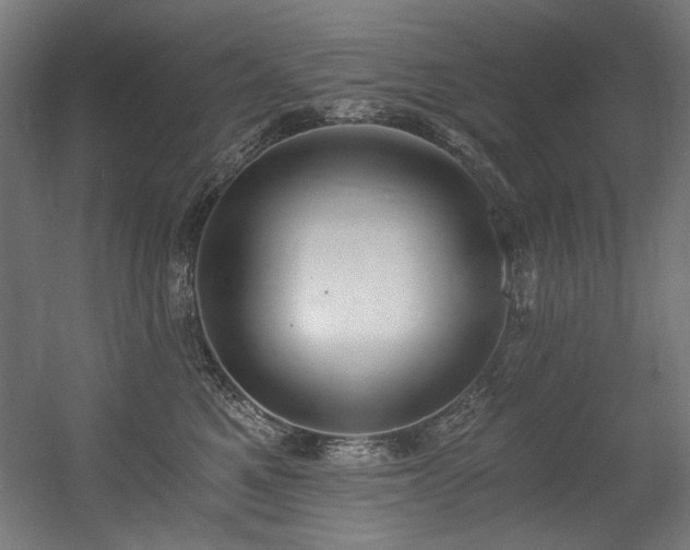 X0000056360521200508291348