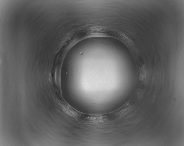 X0000056360524200508291347